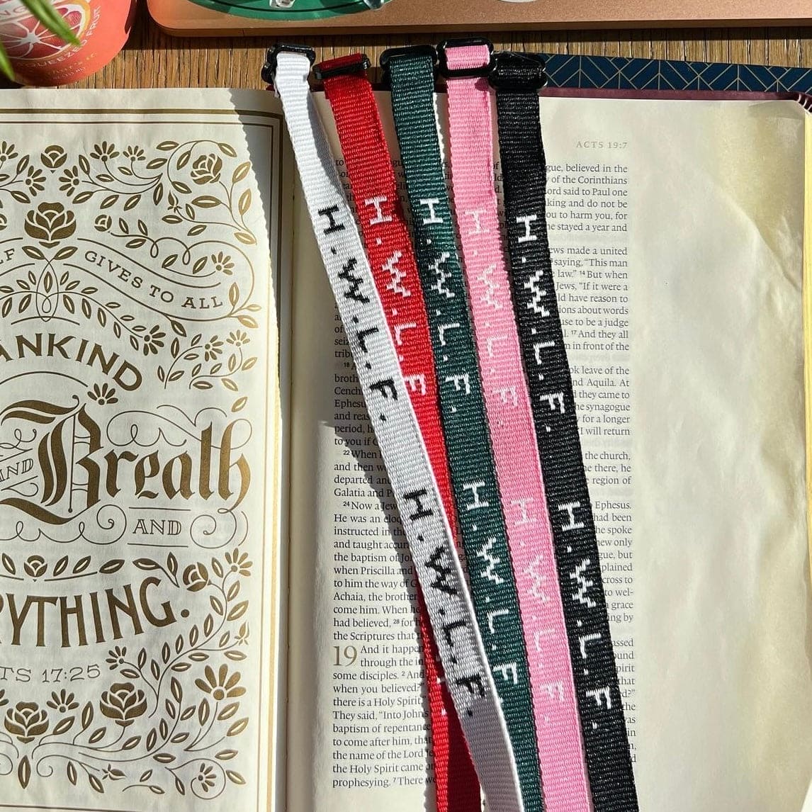 ULTIMATE BUNDLE | $270 VALUE